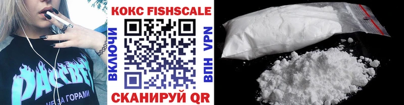 Купить закладки  Ишимбай  Cocaine Fish Scale 
