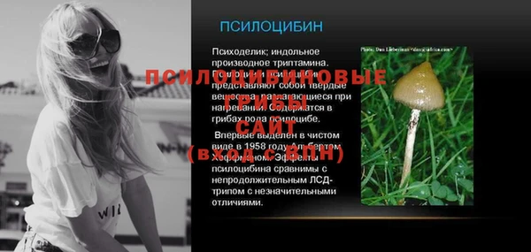 дурь Елабуга
