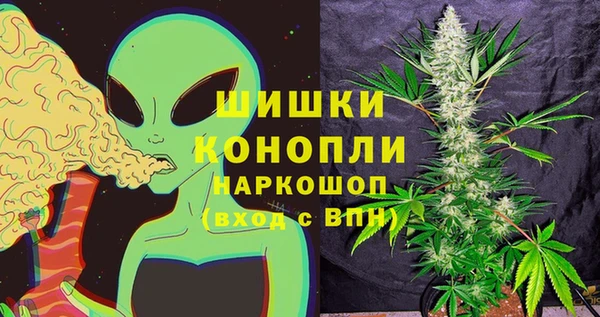 дурь Елабуга