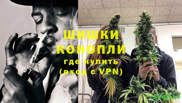 дурь Елабуга