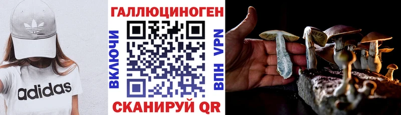 Купить закладки  Ишимбай  Псилоцибиновые грибы ЛСД 